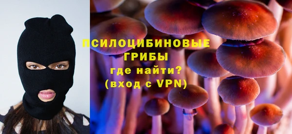 бошки Алексеевка