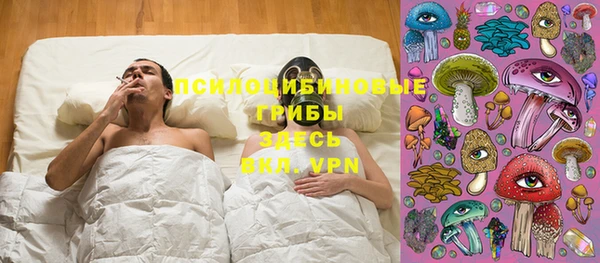 а пвп мука Алзамай